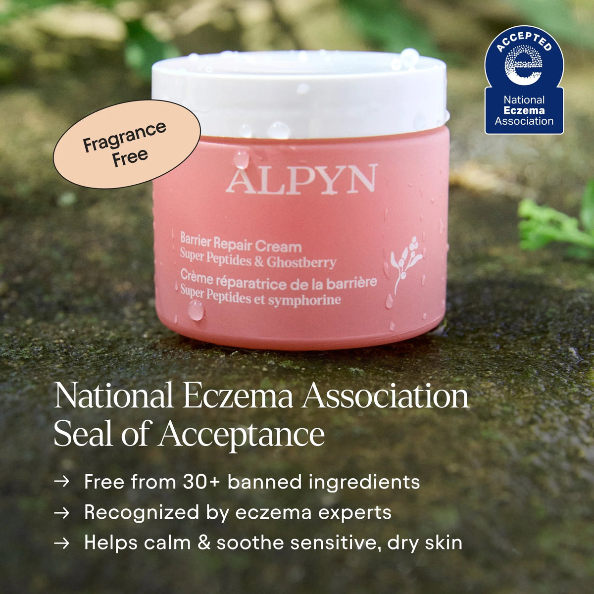 Alpyn Intro Kit (limited time offer)
